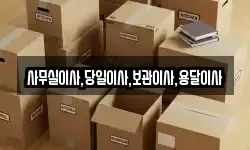 사무실이사,당일이사,보관이사,용달이사