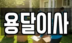 용달이사
