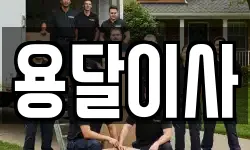 용달이사