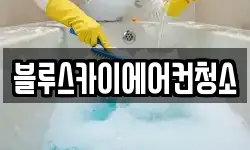 블루스카이에어컨청소