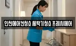 인천에어컨청소 세탁기청소 프레시에어