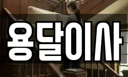 용달이사