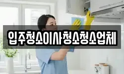 입주청소이사청소청소업체