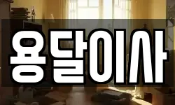 용달이사