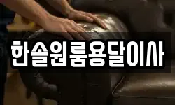 한솔원룸용달이사