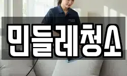 민들레청소