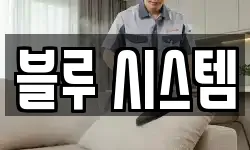 블루 시스템