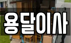 용달이사