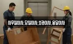 사무실이사,당일이사,보관이사,용달이사