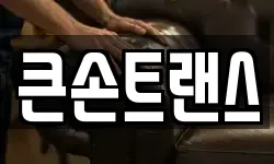 큰손트랜스
