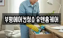 인천광역시 부평구 청천동 청소,입주청소,사무실청소,에어컨청소