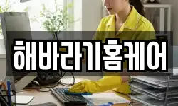 해바라기홈케어