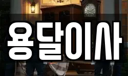용달이사