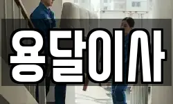 용달이사
