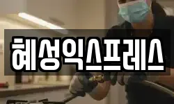 혜성익스프레스