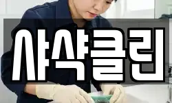 샤샥클린