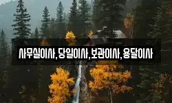 사무실이사,당일이사,보관이사,용달이사