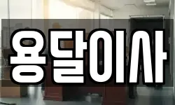 용달이사