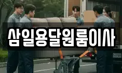 삼일용달원룸이사