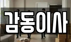 감동이사