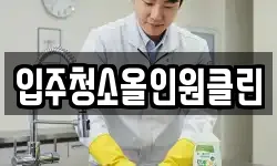 입주청소올인원클린