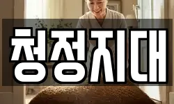청정지대