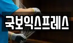 국보익스프레스