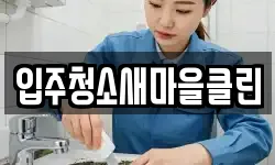 입주청소새마을클린