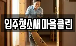 입주청소새마을클린