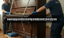 원룸이사용달이사포장이사사무실이사보관이사야간이사당일이사