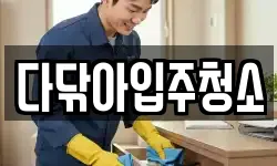 다닦아입주청소