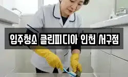 입주청소 클린피디아 인천 서구점