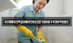 시스템에어컨벽걸이에어컨청소전문기업비용가격대량작업할인