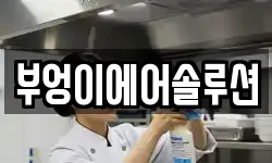 부엉이에어솔루션