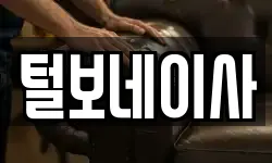 털보네이사