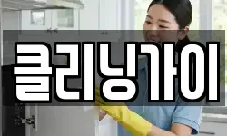 클리닝가이