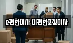 e편한이사 이편한포장이사