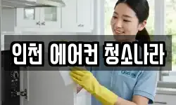 인천 에어컨 청소나라