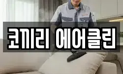 코끼리 에어클린
