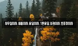 사무실이사.원룸이사.용달이사.1톤용달.보관이사.반포장이사