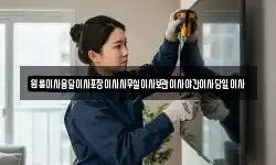 원룸이사용달이사포장이사사무실이사보관이사야간이사당일이사