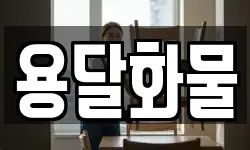 용달화물