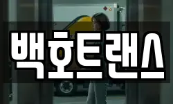 백호트랜스
