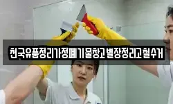 천국유품정리가정폐기물창고별장정리고철수거