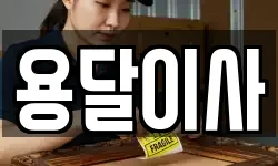 용달이사