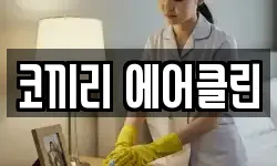 코끼리 에어클린