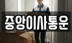 인천광역시 중구 중앙동3가 이사,용달이사,포장이사,원룸이사,보관이사
