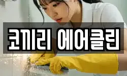 코끼리 에어클린
