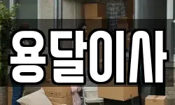 용달이사