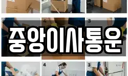 인천광역시 중구 항동1가 이사,용달이사,포장이사,원룸이사,보관이사